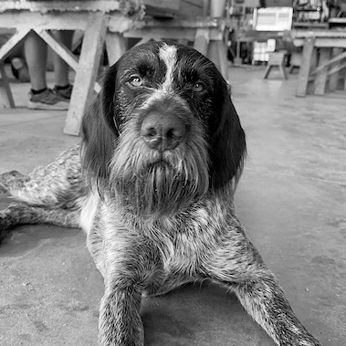 Lee Brumbaugh headshot